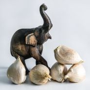 Giant cloves of Elephant Garlic with a wooden elephant on light background.