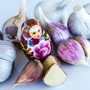 Leningrad Garlic cloves and bulbs surrounding a pink Russian nesting doll.