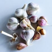 Leningrad Garlic bulbs and cloves arranged on a white background.