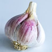A macro close-up of a single Leningrad Garlic bulb on a plain light background.