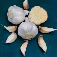 Cut and whole Nootka Rose Garlic Bulbs with cloves on a deep blue background.