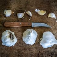 Transylvania Garlic bulbs and cloves with a knife on wood background.
