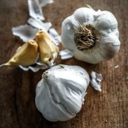 A close-up view of Transylvania Garlic bulbs and cloves on a wood background.
