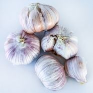 An overhead view of a cluster of Vietnamese Purple Garlic bulbs and cloves on white background.
