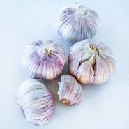 Vietnamese Purple Garlic cloves and bulbs on white background.