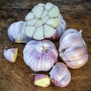 Whole and cut Vietnamese Purple Garlic cloves and bulbs on a wood background.