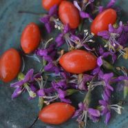 Scarlet Goji Berry with Tea on a ceramic plate.