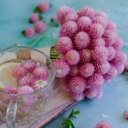 Salmon Pastel Gomphrena bundle along with tea on wooden board.