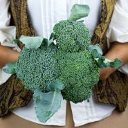 A woman holding a bouquet of Calabrese Green Sprouting Broccoli.