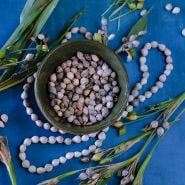 Job's Tears beads with plants and necklace on a dark blue background. 