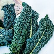 A close-up of Nero Di Toscana Kale with Italian money.