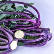 A pile of Early Purple Vienna Kohlrabi on a white background.
