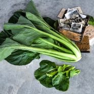 A head of Spinach Mustard "Old Tokyo" Komatsuna with a wooden box of vintage Japanese pictures.