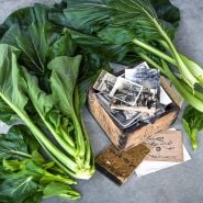 A couple of heads of Spinach Mustard "Old Tokyo" Komatsuna with a wooden box of pictures.