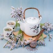 Torch Minty Ice Lavender