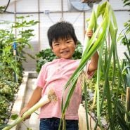 Child holding Bulgarian Giant Leeks inside a greenhouse.