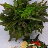 Bronze Beauty Lettuce leaves with a plate of salad on a dreamy background. 