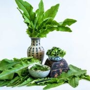 Chinese Narrow Leaf Lettuce in a vase behind two bowls of salad greens with loose leaves on the side.
