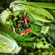 Close-up of a small green bowl of Devil's Ear Lettuce salad with petals from a red flower found within a head.