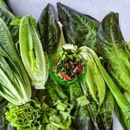 Overhead view of Devil's Ear Lettuce heads with a bowl of cut lettuce with red flower petals found inside a head.
