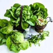 A bowl of Gustav's Salad Lettuce in a basket and a bowl of salad on a white background.  