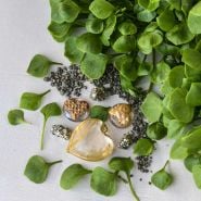Miner's Lettuce leaves with a heart of gold on a white background.