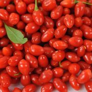 Close-up of a pile of Scarlet Goji Berry.