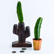 A couple of Edgar's Baby Dragon Fruit Plants with wooden cactus and Mexican coins.