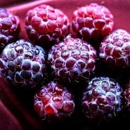 A close-up micro view of Glencoe Purple Raspberry fruit on a plate.