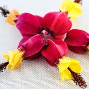 A macro view of circle of Brazilian Bellflower blooms on a linen background.