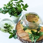 A downward view of Double MInt tea in a clear glass teapot with a potted mint plant.