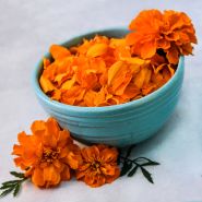 A blue bowl full of Safari Tangerine Marigold petals with flowers on a light background.