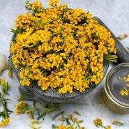 A bouquet of Sweet Mace Marigold or Mexican Mint with delicious tea made from the flowers.