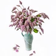 A large bouquet of Matilda flowers in a light gren ceramic vase on a white background.