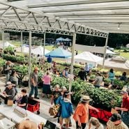 People walking through a greenhouse full of plants at the Baker Creek Spring Planting Festival.