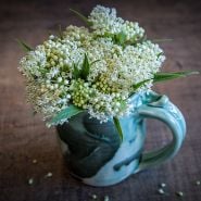 Ice Ballet Milkweed arranged in a ceramic handmade mug on a wood background.