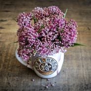 Soulmate Milkweed flowers arranged in a handmade ceramic rareseeds coffee mug on wood.
