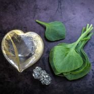 Miner's Lettuce leaves with a heart of gold on a dark background. 