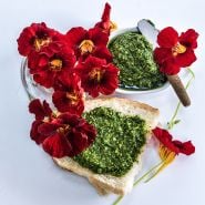 Tip Top Mahogany Nasturtium flowers with Pesto toast.
