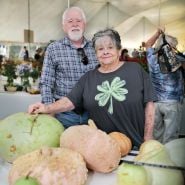 A couple poses with some giant gourds and pumpkins at the Baker Creek Fall Harvest Festival.