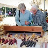 A couple of women looking at a seed display at the Baker Creek Fall Harvest Festival.