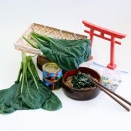 Cooked and raw Spinach Mustard "Old Tokyo" Komatsuna with Japanese props.