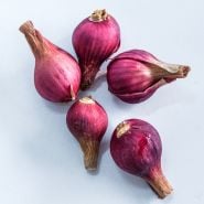 A close-up view of five Red Catawissa Walking Onion Bulbils.