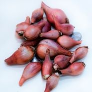 A grouping of Red Catawissa Walking Onion Bulbs with coins on a llight background.