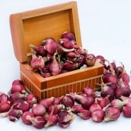 A wooden box full of Red Catawissa Walking Onion Bulbils on a light background.