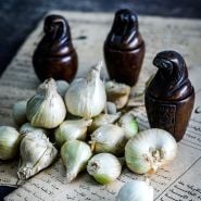 A close up of White Egyptian Walking Onion bulbils on an Arabic newpaper with Egyptian items.