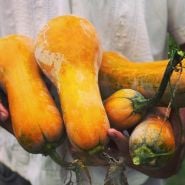 Man holding five Butternut-Orange Winter Squash in the garden at Baker Creek.