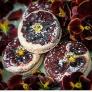 Detailed close-up of Arkwright Ruby Viola blooms and pansy decorated macaroons on a plate.