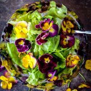 Salad made from Butter King lettuce and edible Floral Days Morning Dew Viola blooms in an ice  bowl.