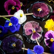 Edible Trumpets Mix Pansy blooms are encased inside lollipops.